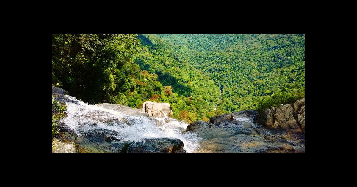 Bach Ma national Park trekking tour full day | Private Trekking tour ...